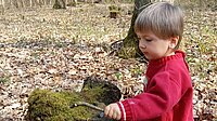 Eltern-Kind-Gruppen im Wald